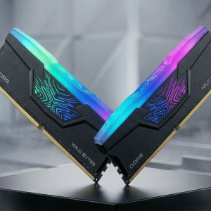 RAM